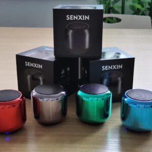 SENXIN TWS Bluetooth Speaker with Loud 5W Stereo Sound
