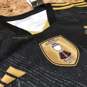Argentina Concept Kit Fan Version Football Jersey Season 2022 Short Sleeves